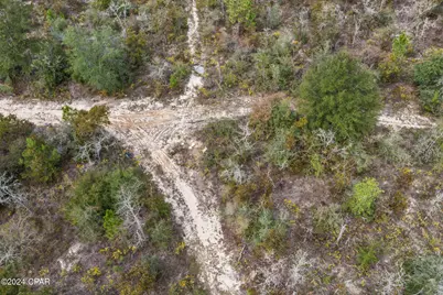 000 Powerline Road, Chipley, FL 32428 - Photo 9
