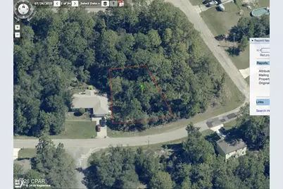 6532 N Foxdale Drive, Citrus Springs, FL 34434 - Photo 3