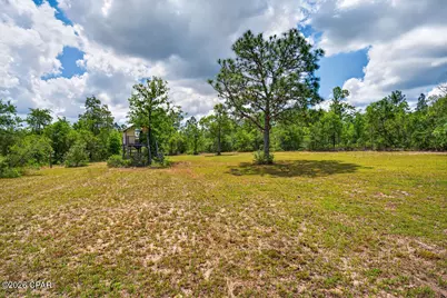 3385 Orange Hill Road, Chipley, FL 32428 - Photo 49