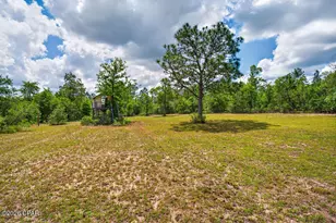 3385 Orange Hill Rd, Chipley, FL 32428 - Photo 49