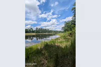 Lot 4 Dogwood Lakes Estates, Bonifay, FL 32425 - Photo 5