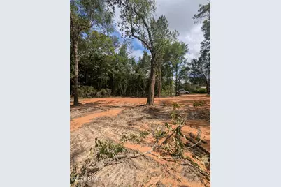 Lot 4 Dogwood Lakes Estates, Bonifay, FL 32425 - Photo 15