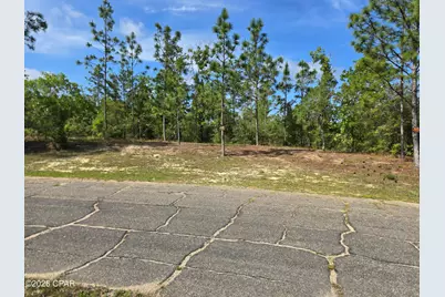 Lot 17 Trellis Drive, Chipley, FL 32428 - Photo 9