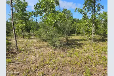 Lot 17 Trellis Drive, Chipley, FL 32428 - Photo 5