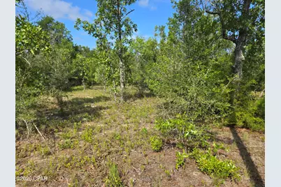 Lot 17 Trellis Drive, Chipley, FL 32428 - Photo 7