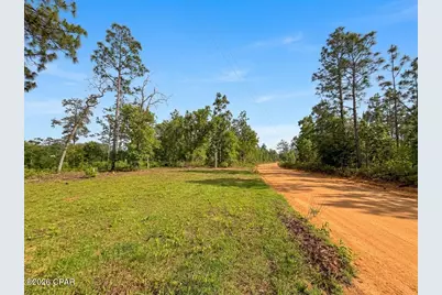 268 Horse Farm Road, Marianna, FL 32448 - Photo 7