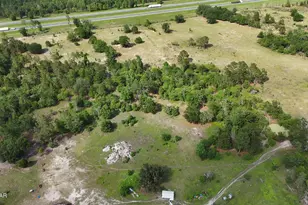 6363 Quarter Horse Ln, Marianna, FL 32448 - Photo 5