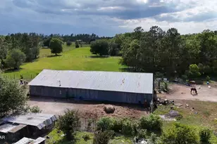 6363 Quarter Horse Ln, Marianna, FL 32448 - Photo 3