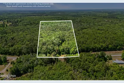 000 Pate Pond Road, Caryville, FL 32427 - Photo 1