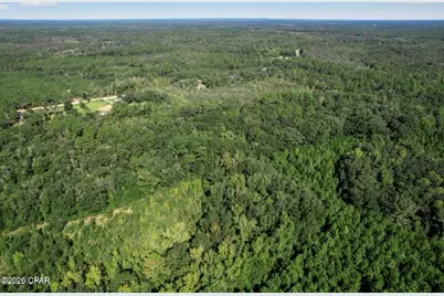 00 St Marys Road, Caryville, FL 32427 - Photo 3