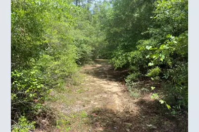 0000 Avon Street, Chipley, FL 32428 - Photo 5