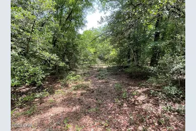 0000 Avon Street, Chipley, FL 32428 - Photo 7