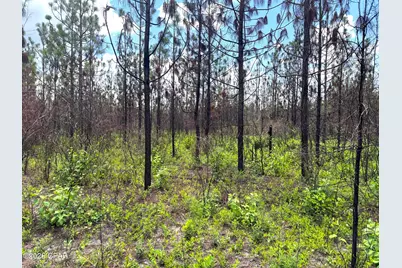 0 Autumn Road, Malone, FL 32445 - Photo 51