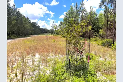 0 Autumn Road, Malone, FL 32445 - Photo 29