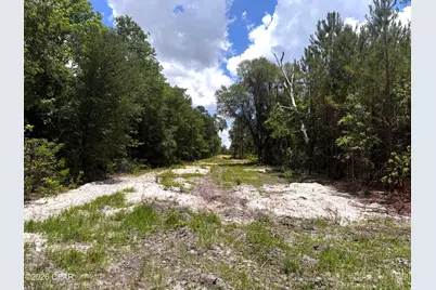 0 Autumn Road, Malone, FL 32445 - Photo 61