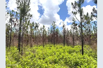 0 Autumn Road, Malone, FL 32445 - Photo 27