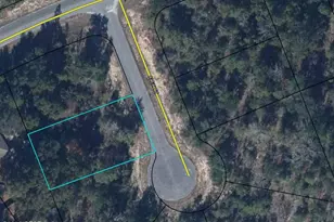 0000 Alex Ct, Chipley, FL 32428 - Photo 1