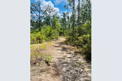 Tbd Chaco Circle, Alford, FL 32420 - Photo 1