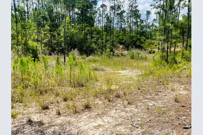 Tbd Chaco Circle, Alford, FL 32420 - Photo 5