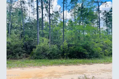 Tbd Chaco Circle, Alford, FL 32420 - Photo 3