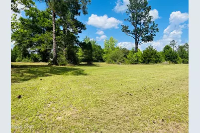 Tbd Campbell Circle, Alford, FL 32420 - Photo 3