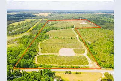 Tbd Sinai Road, Sneads, FL 32460 - Photo 3
