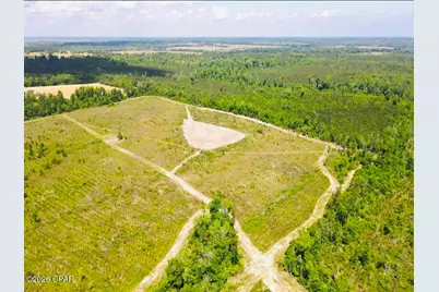 Tbd Sinai Road, Sneads, FL 32460 - Photo 5