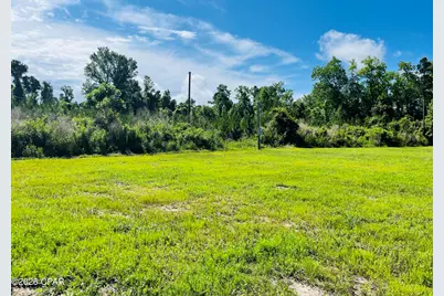 Tbd Sinai Road, Sneads, FL 32460 - Photo 9
