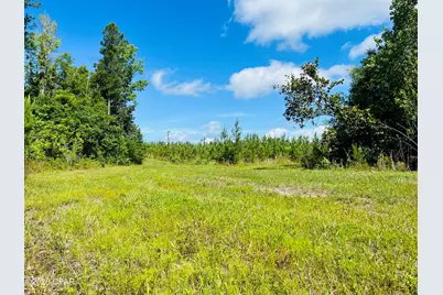 Tbd Sinai Road, Sneads, FL 32460 - Photo 25