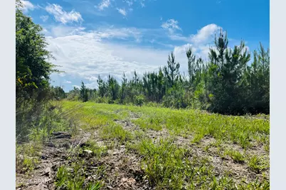 Tbd Sinai Road, Sneads, FL 32460 - Photo 25