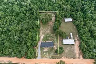 1215 Shores Rd, Alford, FL 32420 - Photo 29