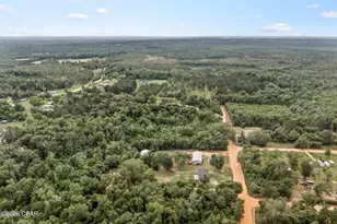 1215 Shores Rd, Alford, FL 32420 - Photo 33