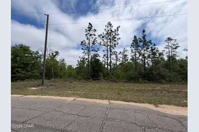 Lot 8 Trellis Drive, Chipley, FL 32428 - Photo 3