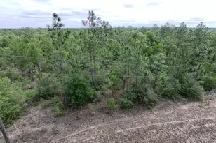 Lot 8 Trellis Dr, Chipley, FL 32428 - Photo 1