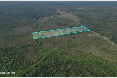 Tbd SW County Road 379, Bristol, FL 32321 - Photo 3