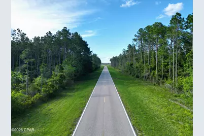 Tbd SW County Road 379, Bristol, FL 32321 - Photo 5