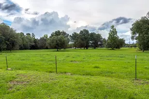 3172 Sandridge Church Rd, Sneads, FL 32460 - Photo 17