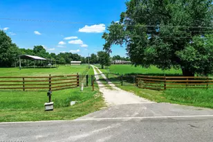3172 Sandridge Church Rd, Sneads, FL 32460 - Photo 9