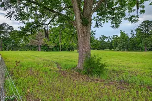 3256 Hwy 77, Chipley, FL 32428 - Photo 51