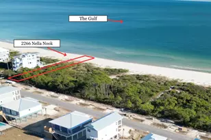 2266 Nella Nook, Saint George Island, FL 32328 - Photo 1