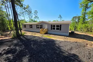 Tbd Beaverhead St, Alford, FL 32420 - Photo 1