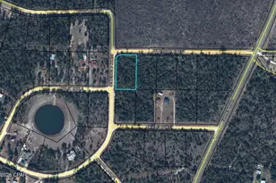Tbd Beaverhead St, Alford, FL 32420 - Photo 27