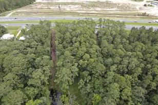 Xxxx S S US Hwy 331, Freeport, FL 32439 - Photo 1
