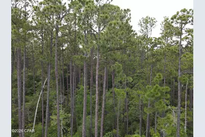 Xxxx S S US Hwy 331, Freeport, FL 32439 - Photo 9