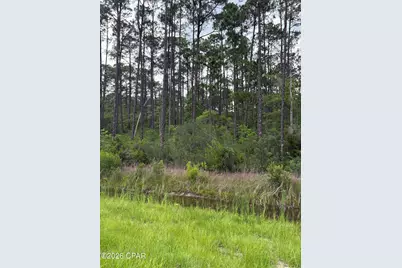 Xxxx S S US Hwy 331, Freeport, FL 32439 - Photo 7
