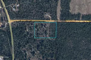 Tbd Nortek Blvd, Alford, FL 32420 - Photo 23