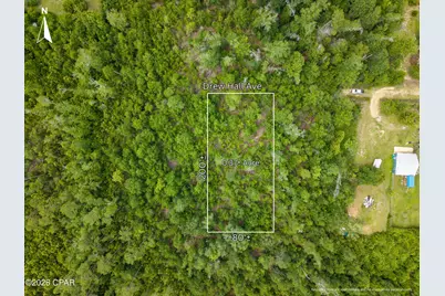 Lot 9-10 Drew Hall, Altha, FL 32421 - Photo 3