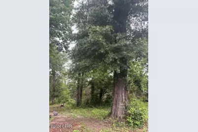 2435 Douglas Pond Road, Marianna, FL 32446 - Photo 1