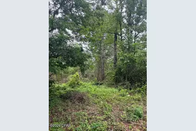 2435 Douglas Pond Road, Marianna, FL 32446 - Photo 5