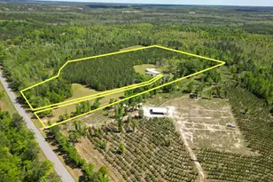 2527 Frost Ln, Chipley, FL 32428 - Photo 49